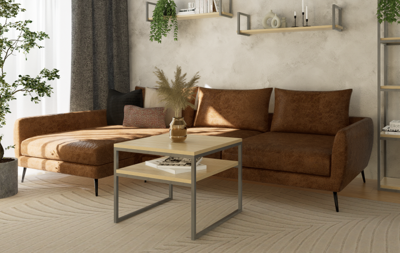 STOLIK KAWOWY Z PÓŁKĄ 60X60 jesion-stal 2.png