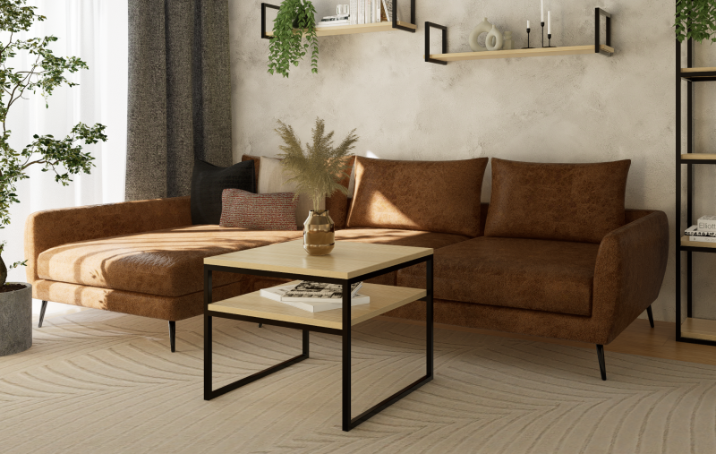 STOLIK KAWOWY Z PÓŁKĄ 60X60 jesion-czarny 2.png