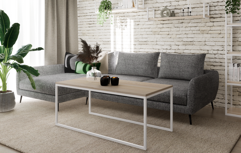 STOLIK KAWOWY 120X60 jesion-biały 2.png